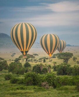 Hot Air Balloon