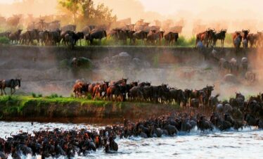 Great Migration