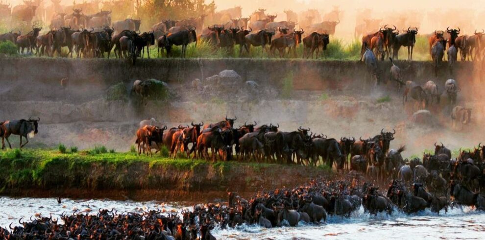 Great Migration