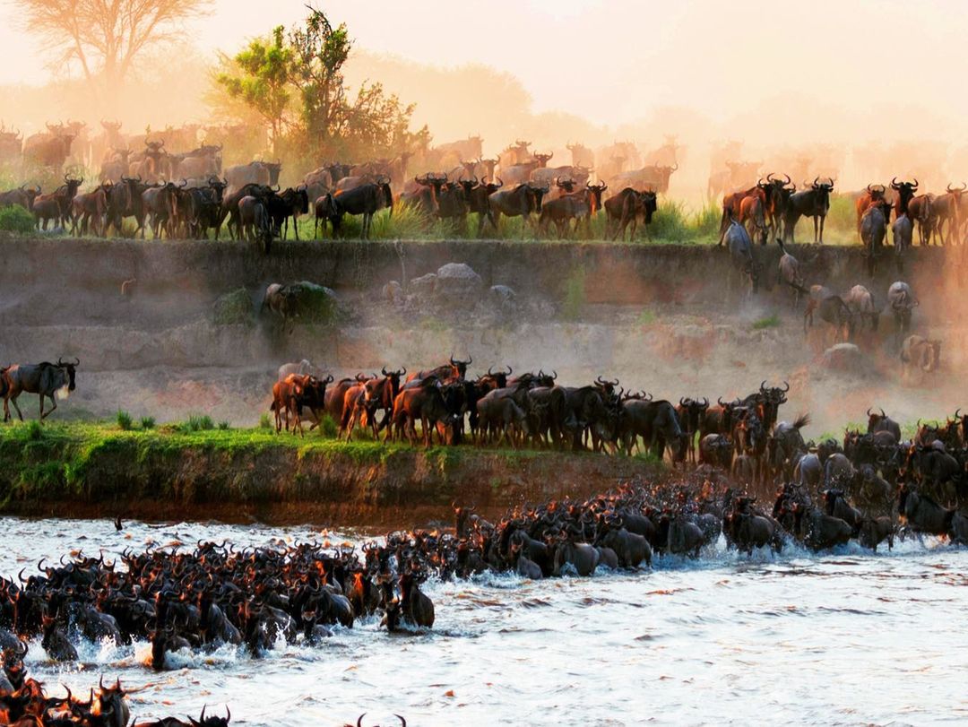 Great Migration