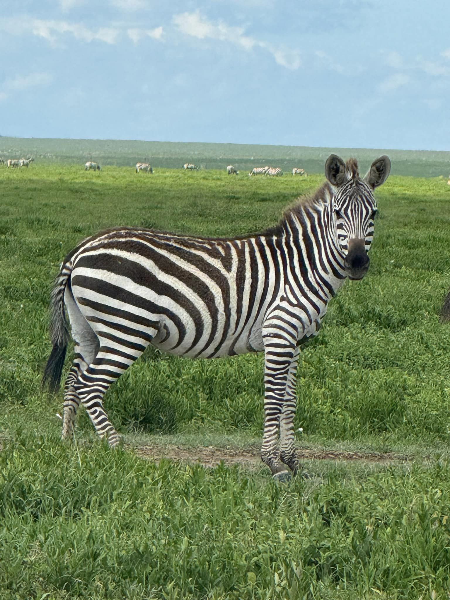 2 Days safari