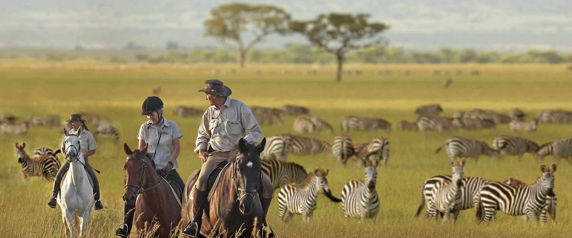 EXPERIENCE AFRICA, THE SERENGETI HEORES WAY