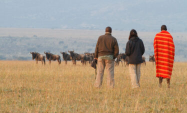 luxury Safari