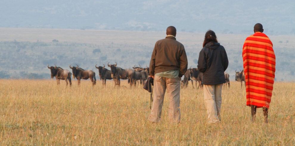 luxury Safari