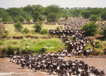 Ultimate luxury safari
